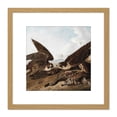 thumbnail image 1 of Audubon Peregrine Falcons Duck Hawks 8X8 Inch Square Wooden Framed Wall Art Print Picture with Mount, 1 of 4