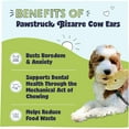 thumbnail image 4 of Pawstruck Bizarre Cow Ears, Air-Dried, Rawhide-Free, Low Calorie Chew for All Breeds, 1.5 lb. Bag, 4 of 9