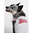 thumbnail image 4 of Kacey Lee Ruffled Spaghetti Strap Pet Tee for Cats and Dogs, Small, 4 of 7