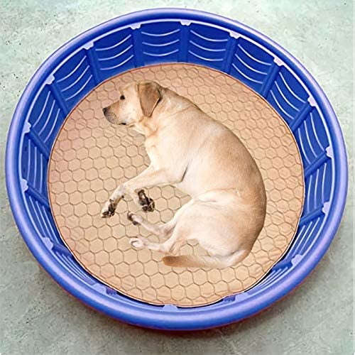Whelping pads 2025