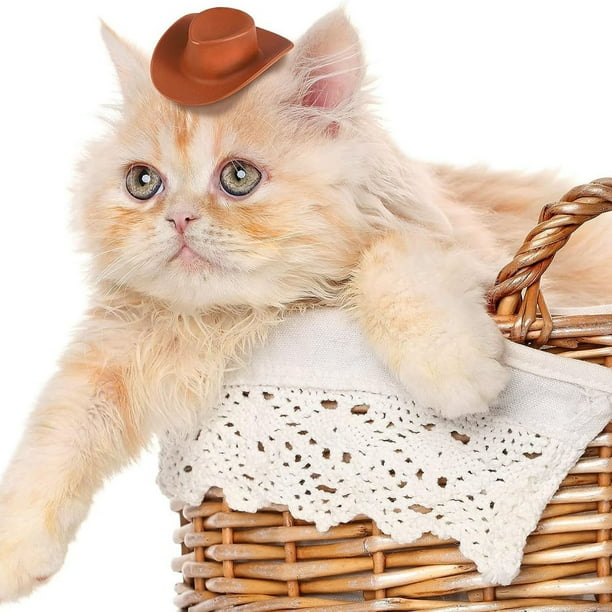 Mini Sombrero de Vaquero occidental Xihbxyly para Muñeca, Accesorio de Decoración de fiesta