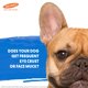 thumbnail image 2 of Toallitas faciales y para ojos para perros Palmer's, sin fragancia, 100 unidades, 2 of 9