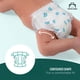 thumbnail image 4 of Pañales Mama Bear Gentle Touch Talla 7 Paquete con 20 Unidades, 4 of 9