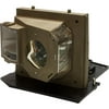 Optoma BL-FS300B - Projector lamp - for Optoma HD8000; Home Theater Series HD7200, HD803, HD930, HD980; ThemeScene HT1080, HT1200