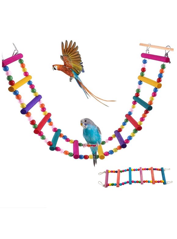 Bird Toys in Birds