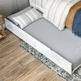 thumbnail image 3 of AFI Twin-XL Roll Out Wood Trundle Bed Frame with Wooden Slat Supports, White, 3 of 8