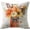 C, variant on 1Pc/4Pcs Fall Decor Pillow Covers 18x18Inch Pumpkin Maple Leaves Sunflower Vase Fall Outdoor Throw Pillows Covers Autumn Farmhouse Thanksgiving Decorative Cushion Case for Couch Sofa