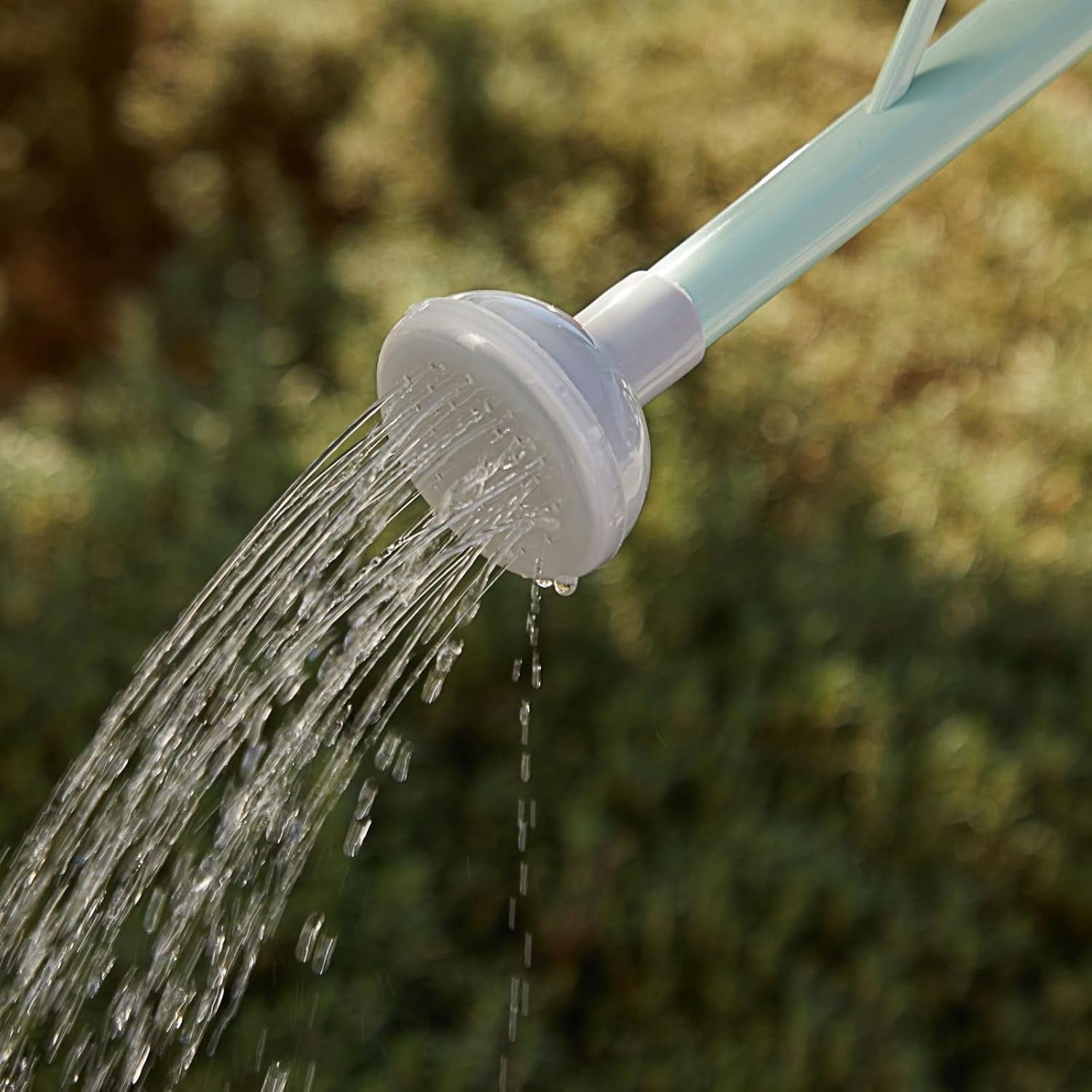 Watering Can - Plant Waterer with Long Spout & Detachable Sprinkler Head Compact Design for Indoor Garden Kids Gardening Green, 0.4 Gallon