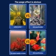 thumbnail image 4 of 1 filtro para pecera, purificador de agua ecológico para acuario, descontaminante | Cube Y5D8, 4 of 8