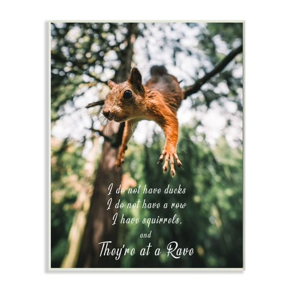 Stupell Industries No Ducks in Row, Only Squirrels at Rave Phrase Designed by Ziwei Li