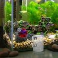 thumbnail image 4 of FOMIYES Anillo Para Alimentación De Peces En Acuario Que Mantiene Comida Flotando Y Nutrientes, 4 of 8