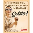 Junket Gelato Mix Dark Chocolate, 4 Ounce Box, Yields 1 Quart (Pack of 1)