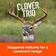 thumbnail image 4 of Pennington Rackmaster Clover Trio Food Plot Seed 5 lb, 4 of 12