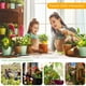 thumbnail image 5 of Yous Auto 20 Trampas Amarillas Pegajosas para Moscas de la Fruta para Plantas de Interior, Cocina, Trampas Naturales Seguras para Mosquitos de Hongos, Atrapamoscas de la Fruta de Doble Cara para Uso en Plantas de Interior y Exterior, 5 of 10