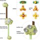 thumbnail image 5 of Cabezal de ducha de juguete de baño para bebé con paquete de 3 juguetes con ventosa para niños pequeños de 3 a 4 a 5 años, juguetes acuáticos para bebés de 6 meses en adelante Regalos de Navidad JM, 5 of 5