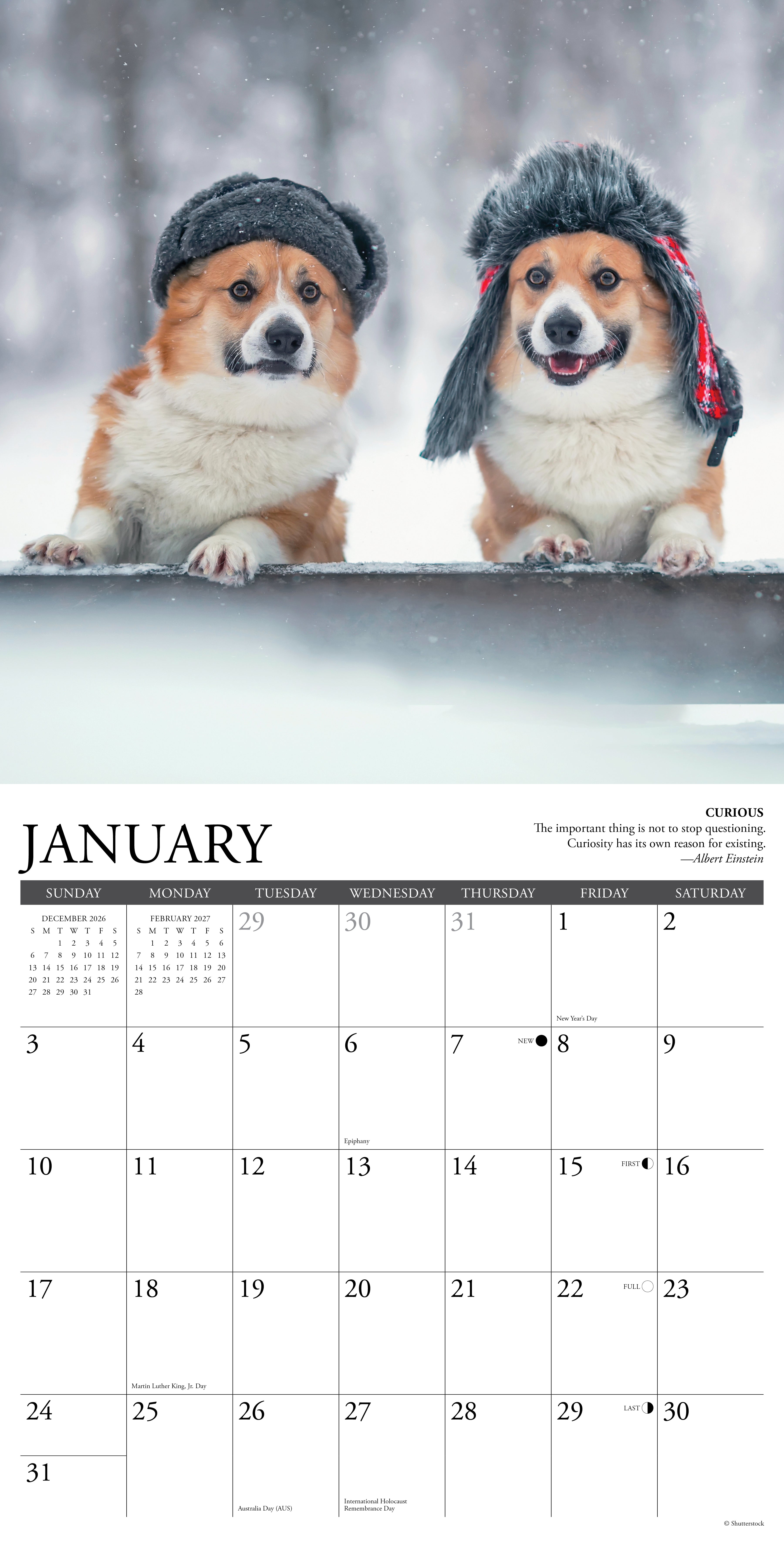 Willow Creek Press, Corgi Rules 2027 Wall Calendar