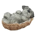 thumbnail image 2 of Ebros Realistic Miniature Schnauzer Puppy Figurine 7" Long Lifelike Schnauzer Dog Sleeping in Wicker Basket Statue, 2 of 5