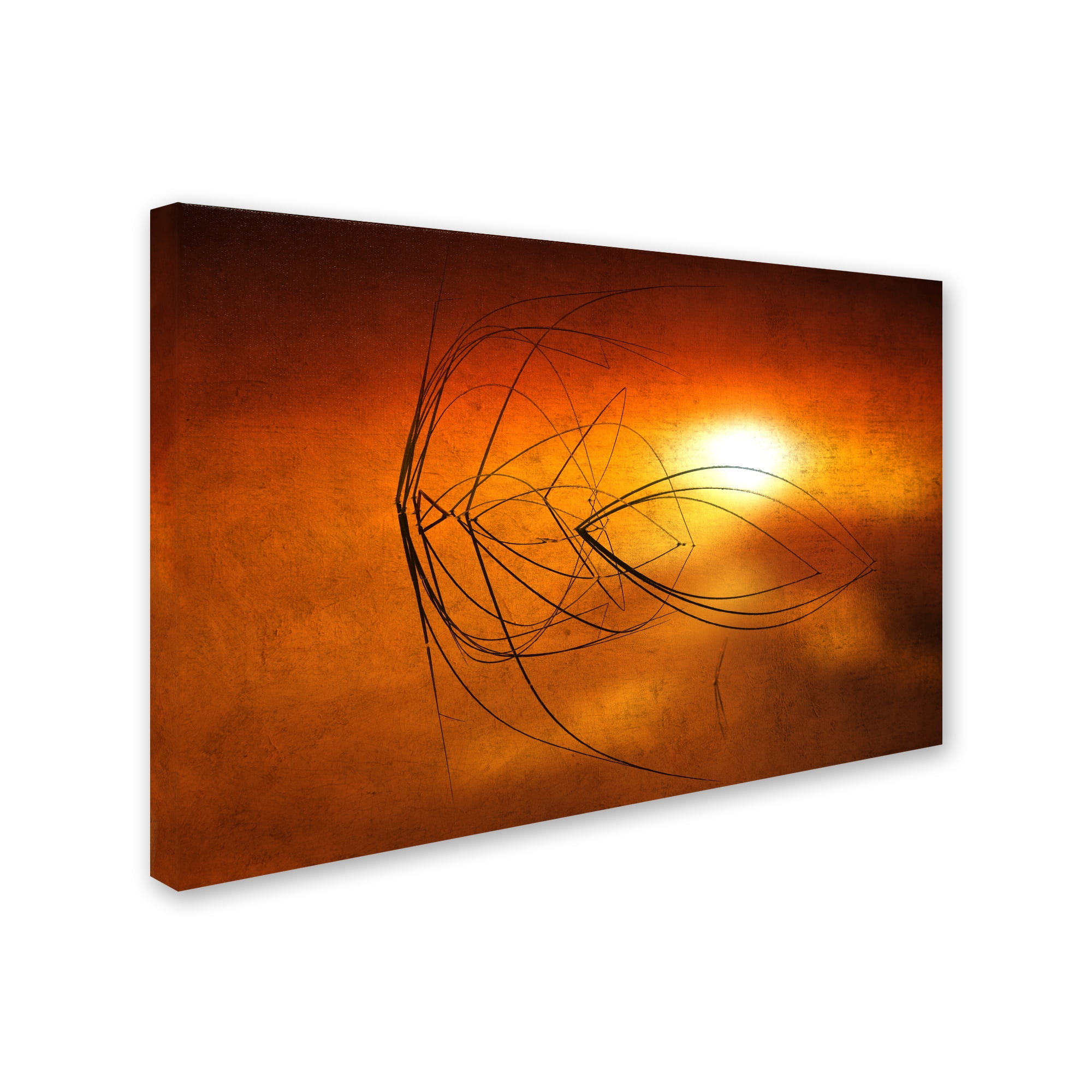 Trademark Fine Art "Touch of Last Light" Canvas Art by Philippe Sainte-Laudy