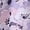 Z1-Purple, variant on HongQid Womens Cotton Pajama Pants Elastic Waist Soft Knit Sleepwear Bottoms Floral Print for All Seasons