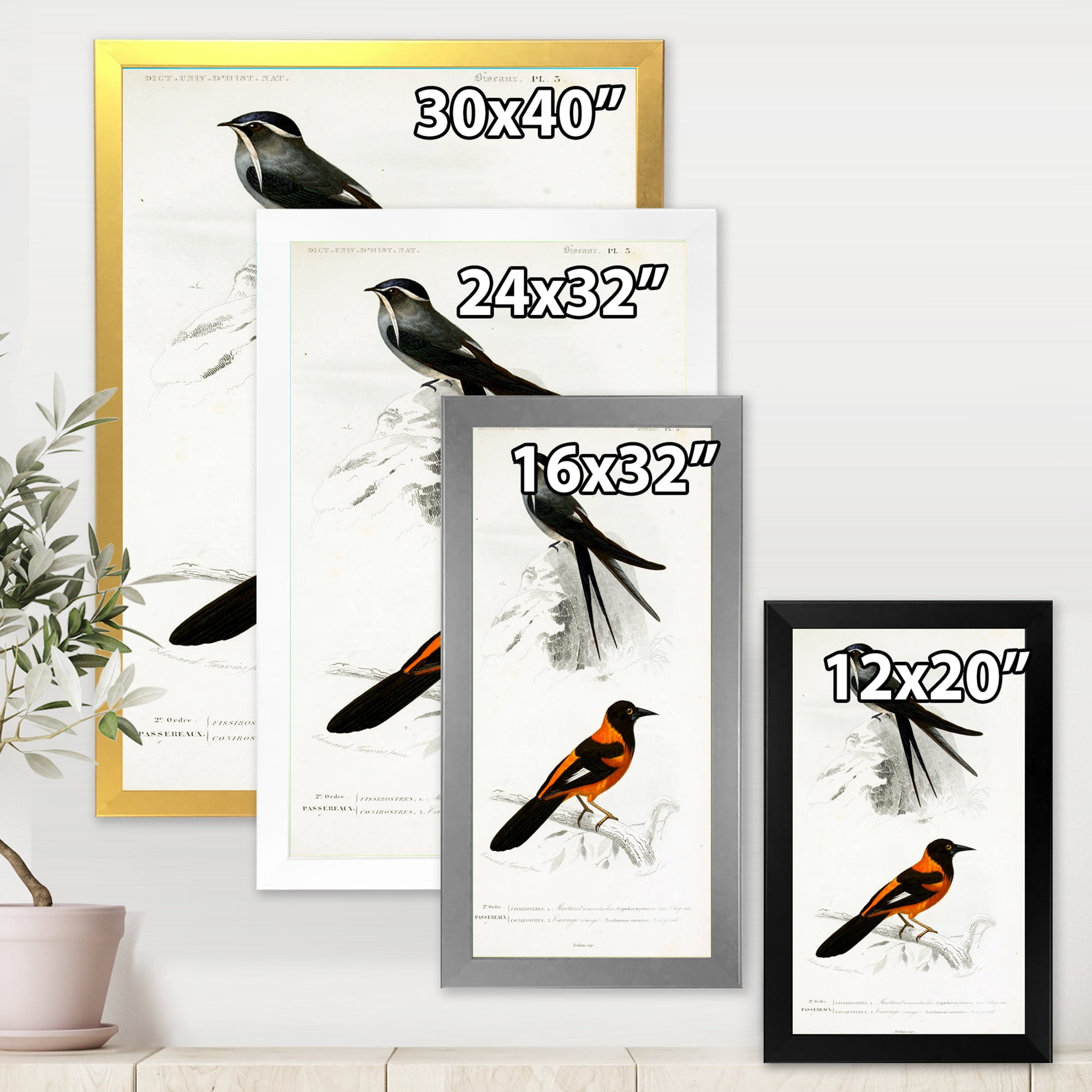 Designart 'Ancient Bird II' Traditional Framed Art Print