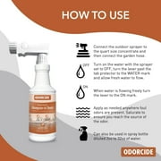 Odorcide Dumpster & Chute Odor Eliminator for Strong Odor 64oz – Dumpster, Loading Dock, Trash Can Deodorizer – Safe, Non-Enzymatic Trash Can Odor Eliminator for Home & Commercial Use (DC-HG)
