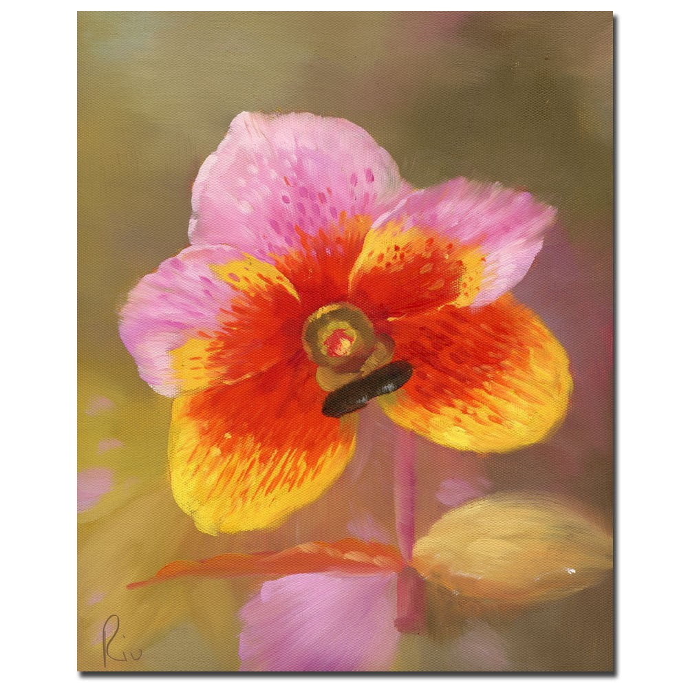 Trademark Fine Art Orange-Pink Orchid' Canvas Art Ready to Hang 18x24 Inches (MA080-C1824GG)