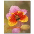 thumbnail image 2 of Trademark Fine Art "Orange-Pink Orchid" Canvas Art, 2 of 2