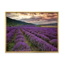 Designart 'Lavender Field At Sunrise I' Farmhouse Framed Canvas Wall Art Print