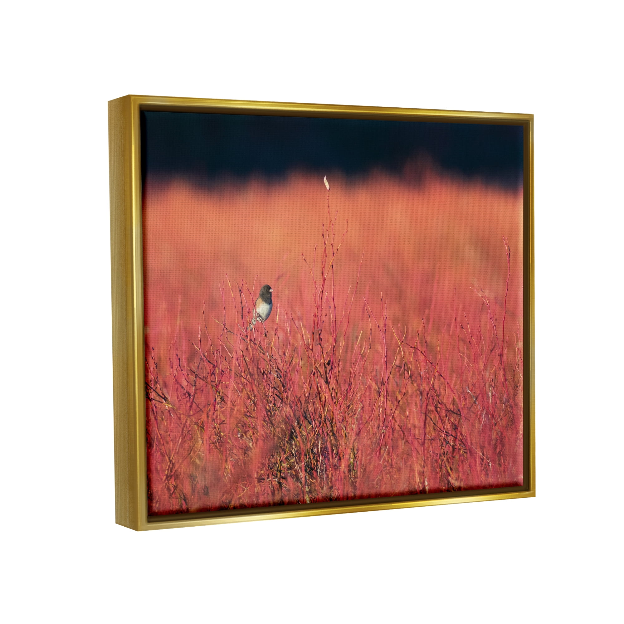 Stupell Industries Bird in Red Field Nature Photography Gold Floater Framed Art Print Wall Art, 31 x 25