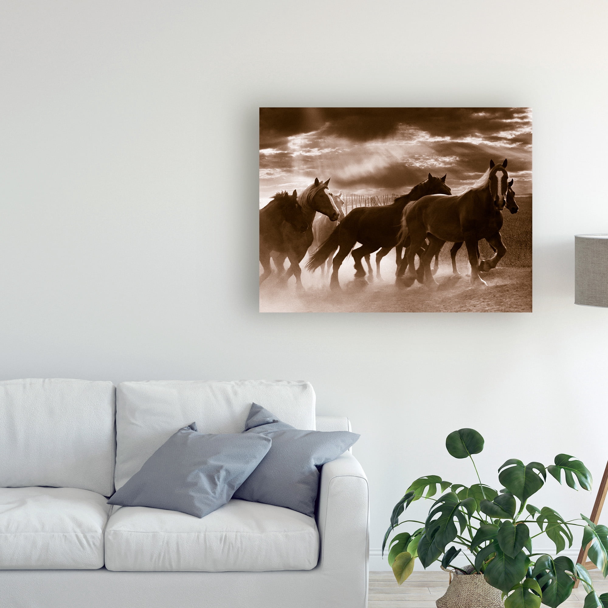 Trademark Fine Art 'Running Horses And Sunbeams Rothbury Michigan' Canvas Art by Monte Nagler