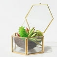 thumbnail image 2 of 2Pcs que Glass Hexagon Geometric Terrarium Fern Air Plant Holder, 2 of 8