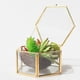 thumbnail image 2 of Caja de joyería de terrario geométrico de Metal de cristal hexagonal de 2 piezas Decoración de compromiso perfecl Terrario geométrico moderno, 2 of 8