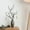 I, variant on Upgraded Simulation Twigs And Branches Easter Eggs Living Room Room Scene Decoration Ornaments Ornaments Photo Frame Art Value Nature I