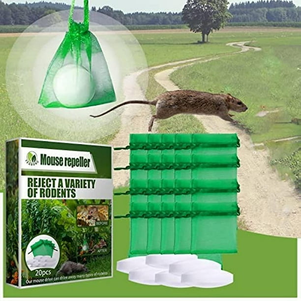 Keep Mice Out For Home Kitchen Farms Storehouse, Peppermint Oil For