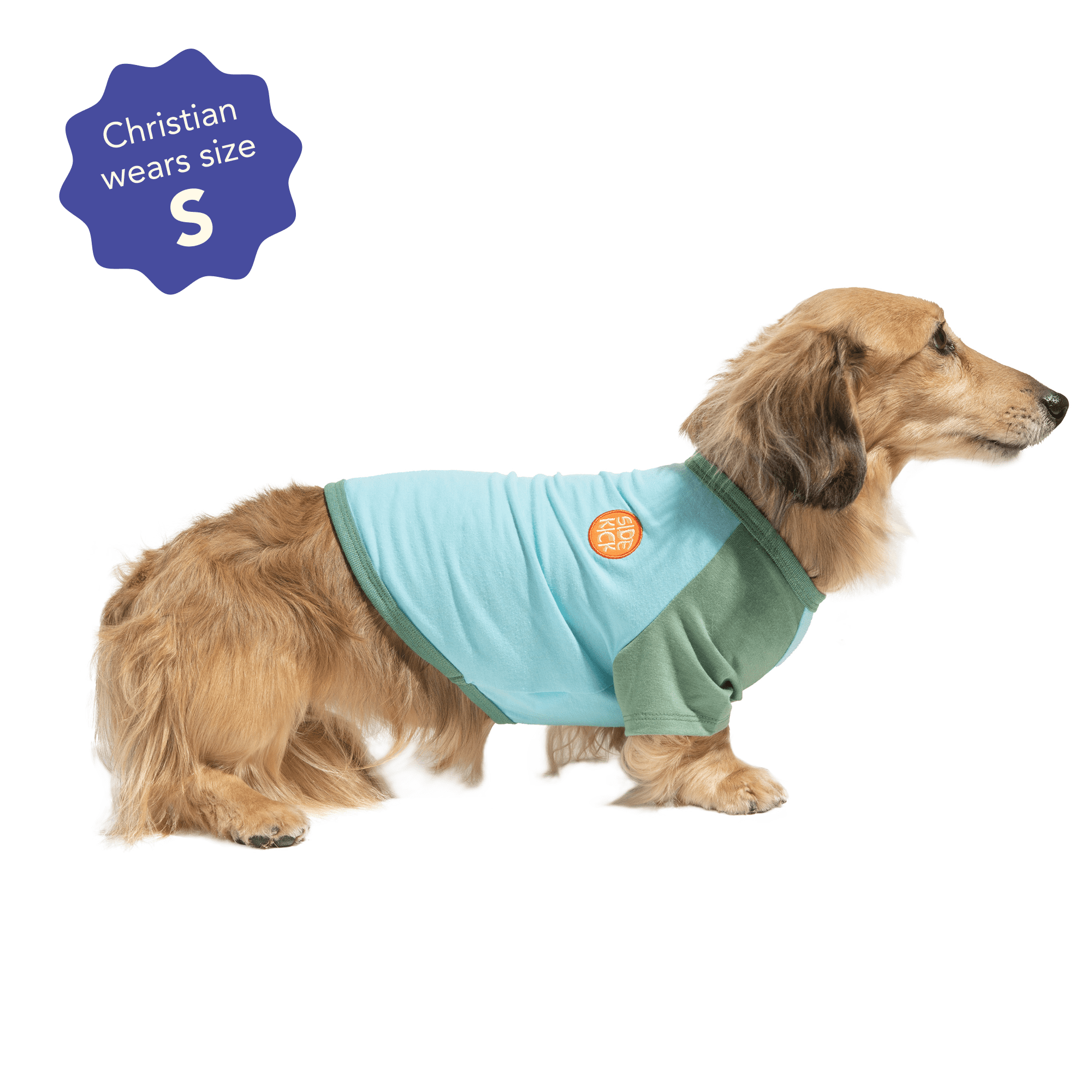 Oodles Green Side Kick Spring Raglan Dog T-Shirt, Medium