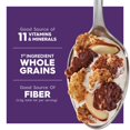 thumbnail image 5 of Special K Cold Breakfast Cereal, 11 Vitamins and Minerals, Family Size, Chocolatey Dipped Flakes with Almonds, 19.2oz Box (1 Box), 5 of 13
