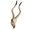 C 56.5x21.5x13cm, variant on Long Horned Decor Skull Halloween Decoration Wall Decor Skull Decor Skull Figurines Crafts Head For Holiday Bedroom .5x32x12cm