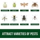 thumbnail image 3 of Trampa adhesiva para moscas de frutas para interior y exterior, mata hongos para plantas domésticas, mosquitos, insectos voladores, moscas blancas, paquete de 18, 3 of 5