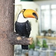 thumbnail image 1 of Estatuil de pájaro de resina Tucan árbol Hugger estatua de jardín, escultura de piezaza de Animal ornamentos de árbol CUTICAT Figura de pájaro en miniatura, 1 of 8