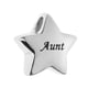 thumbnail image 1 of Relleno de embudo colgante de cineraria cineraria cineraria de cremación en apariencia de estrella de material acero inoxidable para mascotas familiares Ash Memorial Tía Fernando Colgante para mascotas Star Memorial, 1 of 8