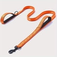 thumbnail image 1 of Heavy-Duty Nylon Dog Leash with Double Handles & Padded Grip for Training, 1 of 5