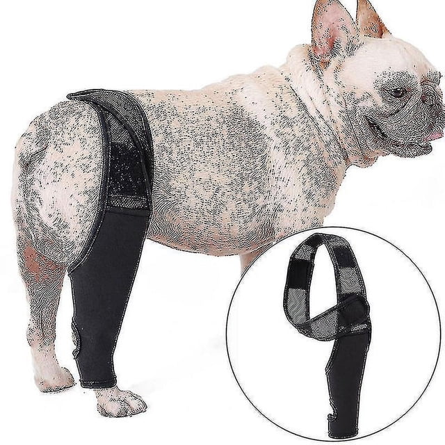 Rodillera para perro mascota para artritis por dislocación de la rodilla mantiene la articulación caliente soporte adicional, s Botao