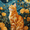 Orange Tabby Cat Starry Night Flower, variant on Qisvanset Tortoise On Road Canvas Wall Art 15.75x11.81 Inches