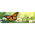 thumbnail image 4 of Nature Themed Butterfly Daisy Background Banner Party Decorations Photography Props Spring Garden Celebrations Outdoor Events Photo Booth Backdrop, 4 of 4