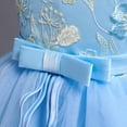 thumbnail image 5 of Odeerbi Girls Dress Baby Girls Clothes Toddler Kid Lace Sleeveless Princess Gown Party Tulle Dress Clothes Blue, 5 of 9
