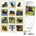 thumbnail image 2 of The Beauty of German Shepherd Puppies | 2024 12x24" Wall Calendar | StarGifts, 2 of 8