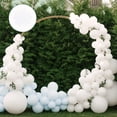 thumbnail image 5 of 200PCS Clips de Globo de Flores, Soporte para Globos para Decoración de Fiesta o Festival, 5 of 5