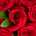 thumbnail image 5 of Deluxe Be Mine Rose Bouquet - Farm Direct Fresh Cut Flowers - Red Roses - by Bloomingmore, 5 of 6