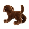thumbnail image 5 of Douglas Cocoa Chocolate Lab, 5 of 5