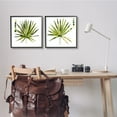 thumbnail image 2 of Stupell Industries Spiky Aloe Palm Plant Paint Hue Guide,17 x 17, Design by Jennifer Paxton Parker, 2 of 7